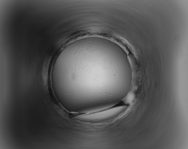 X0000087541065200705181044