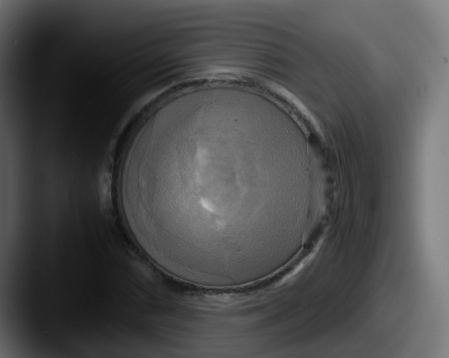 X0000087541066200705181044