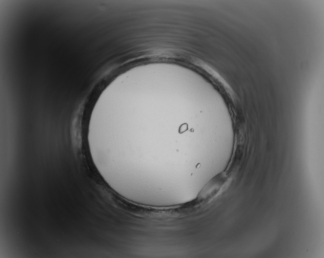 X0000087541067200705181044