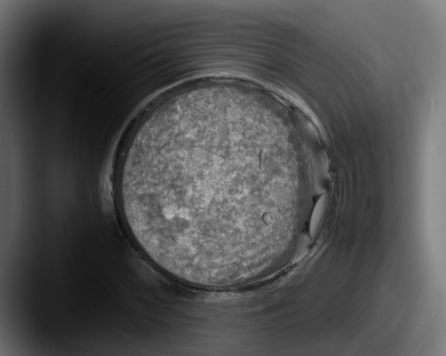 X0000087541068200705181044