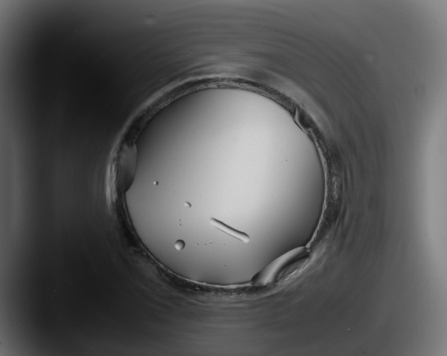 X0000087541069200705181044