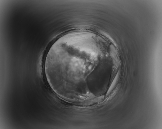 X0000087541071200705181044