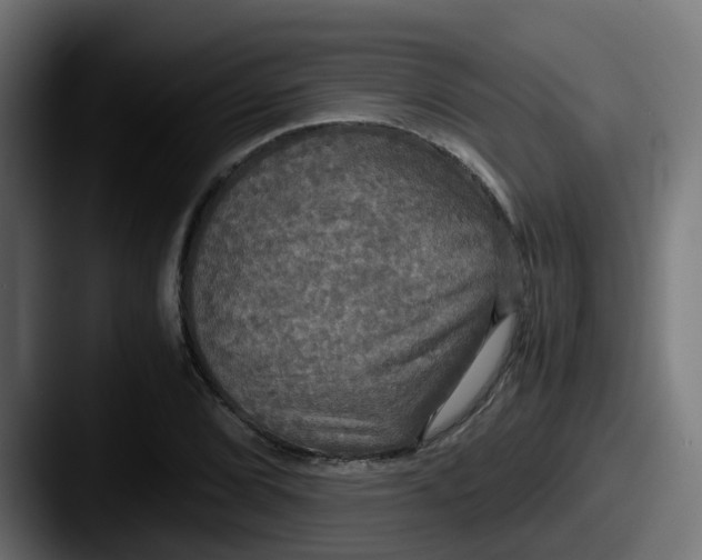 X0000087541072200705181044