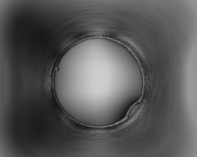 X0000087541073200705181044