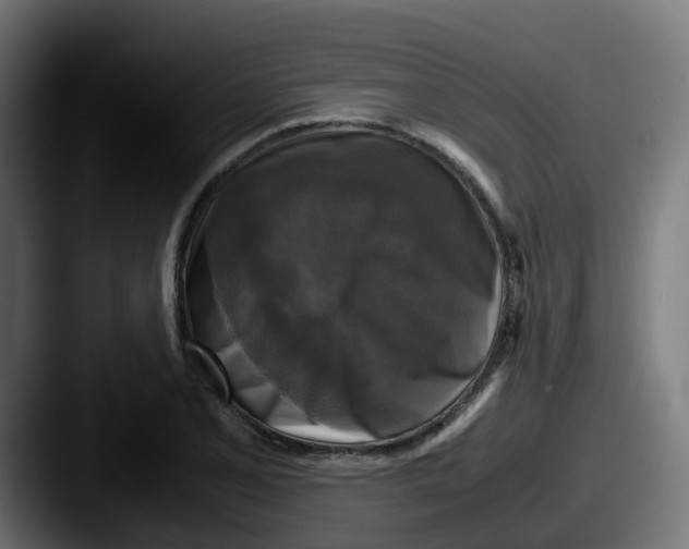 X0000087541077200705181044