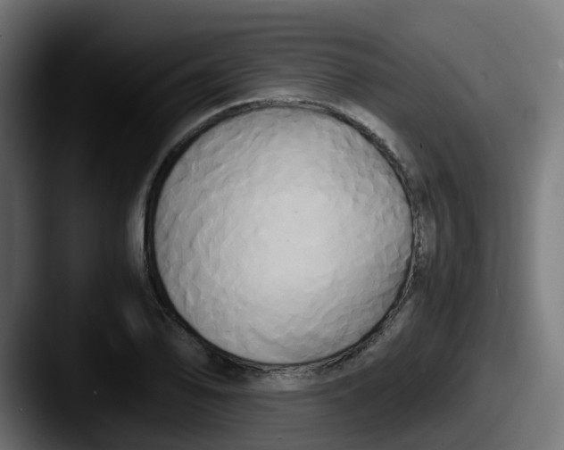 X0000087541078200705181044