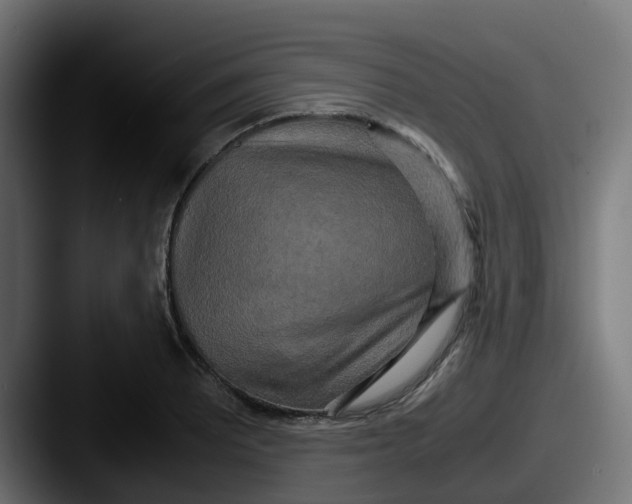 X0000087541081200705181044