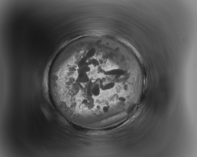 X0000087541083200705181044