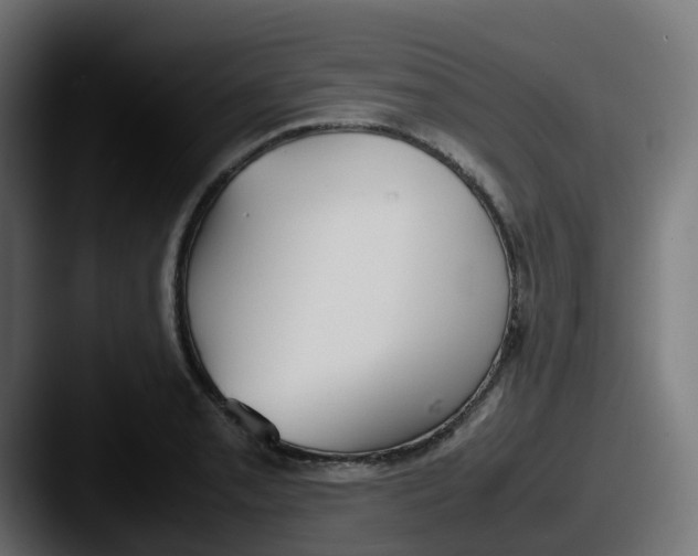 X0000087541085200705181044