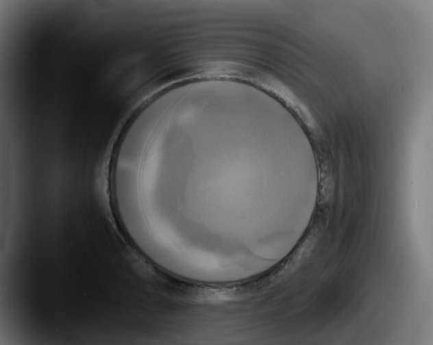 X0000087541086200705181044