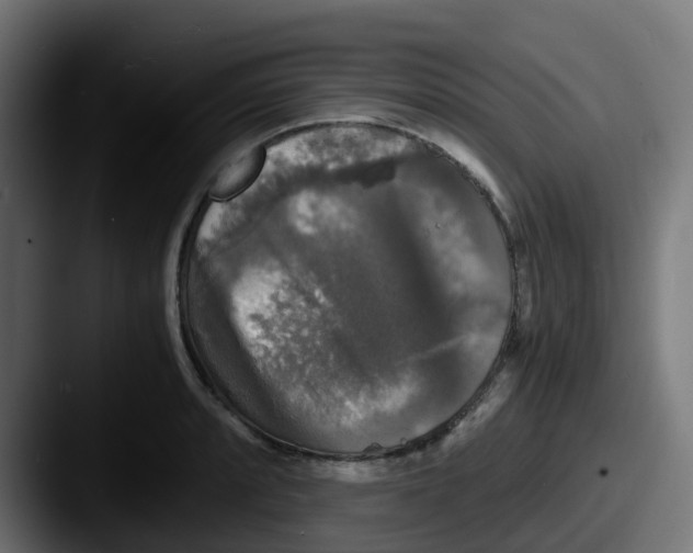 X0000087541088200705181044