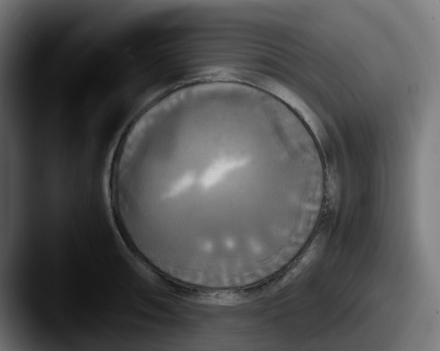 X0000087541090200705181044