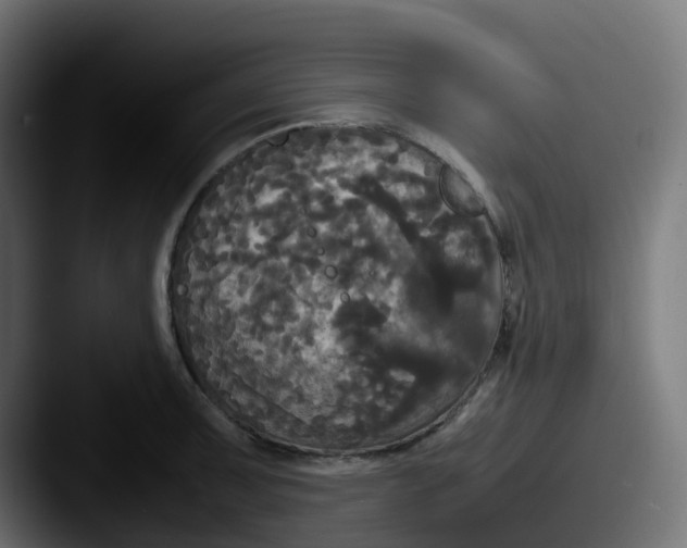 X0000087541091200705181044