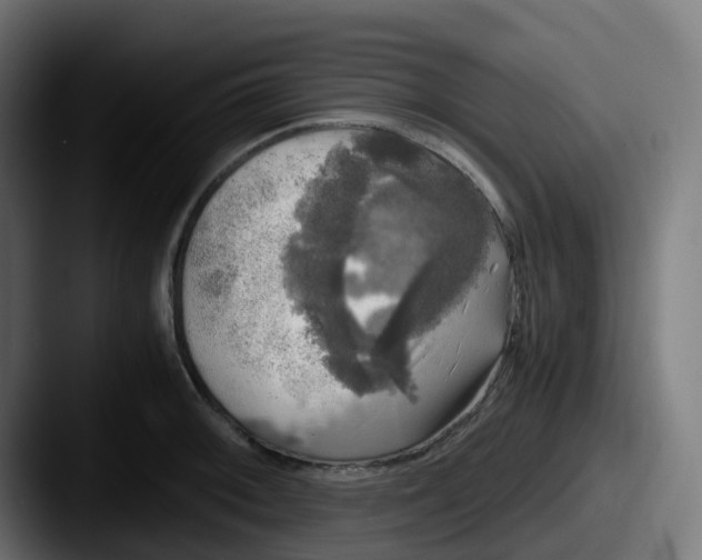 X0000087541092200705181044