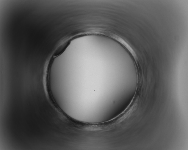 X0000087541093200705181044