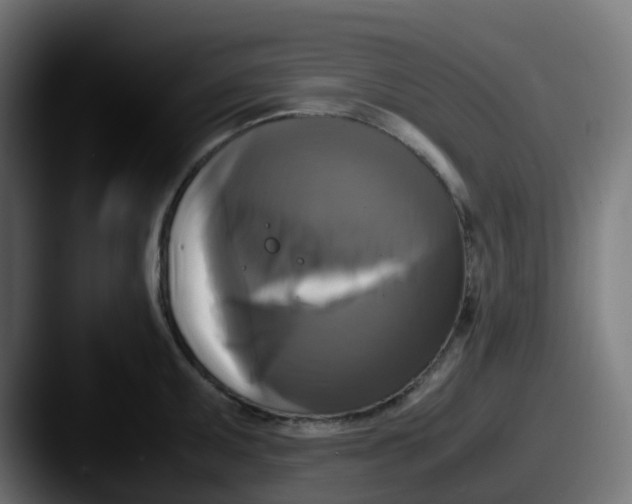 X0000087541095200705181044