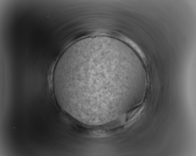 X0000087541097200705181044