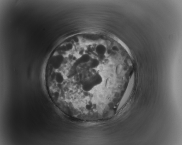 X0000087541099200705181044