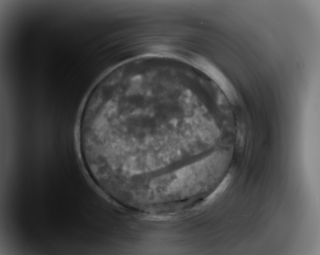 X0000087541100200705181044