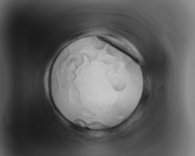 X0000087541103200705181044