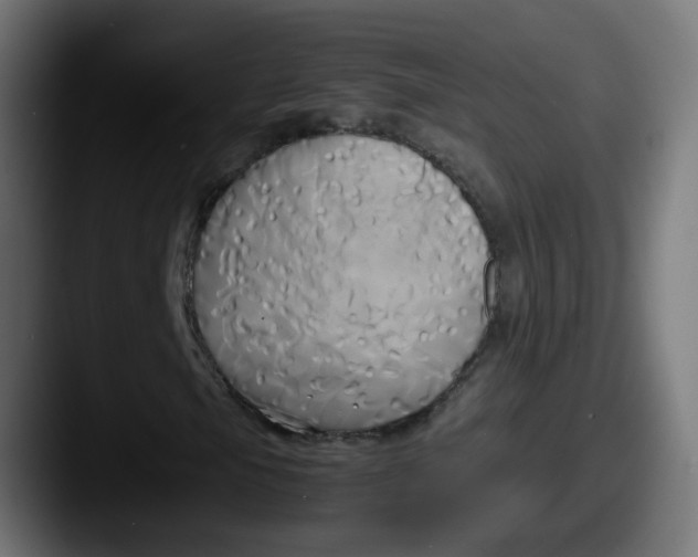 X0000087541105200705181043