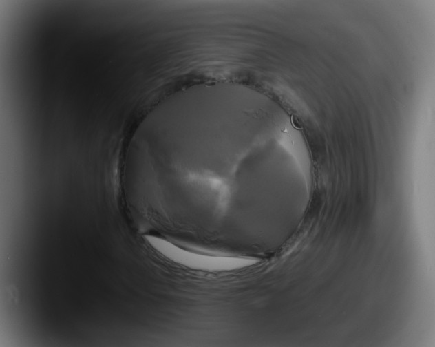 X0000087541106200705181043