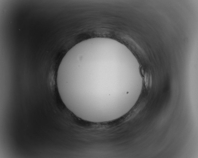 X0000087541107200705181043