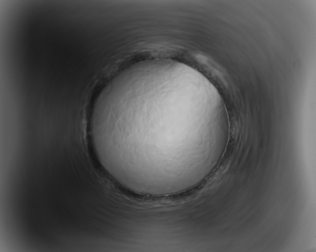 X0000087541108200705181043