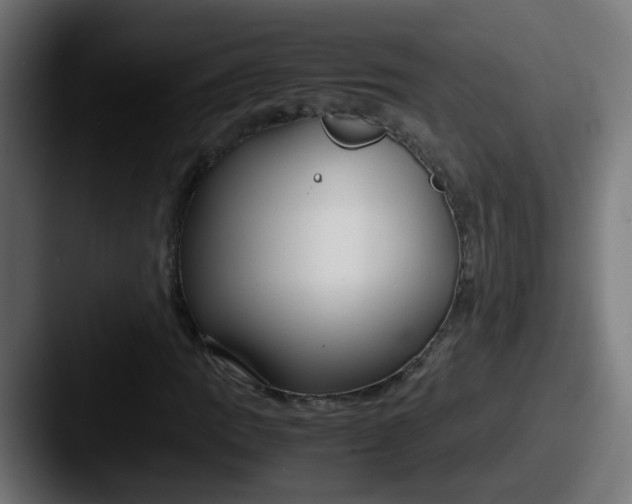 X0000087541109200705181043