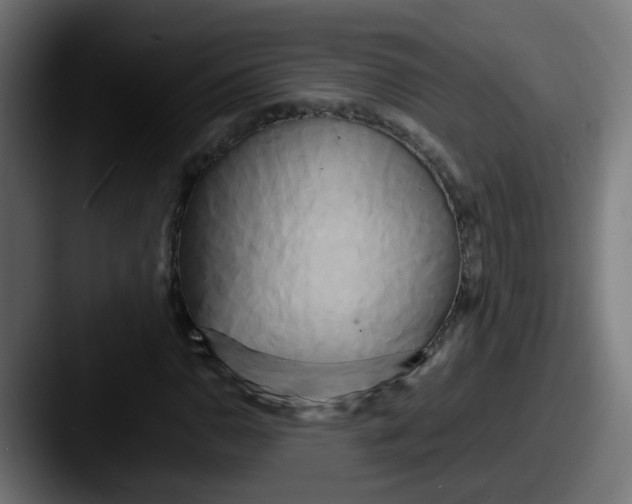 X0000087541110200705181043