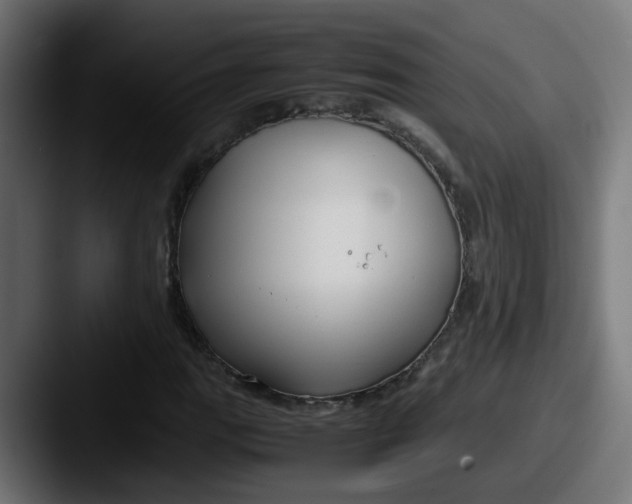 X0000087541111200705181043