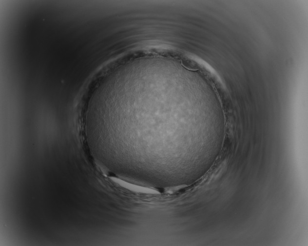 X0000087541112200705181043