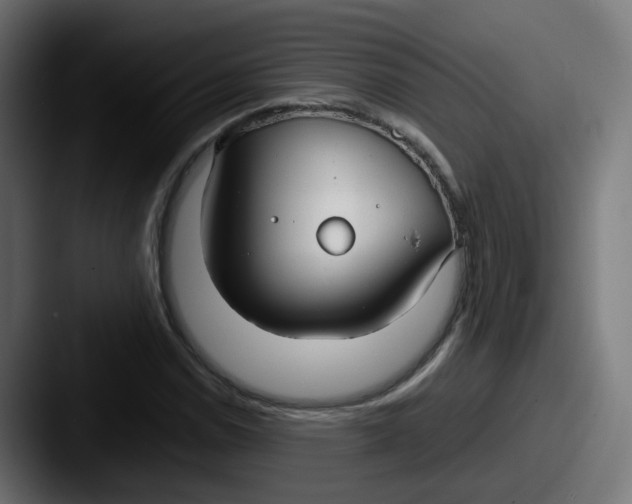 X0000087541114200705181043