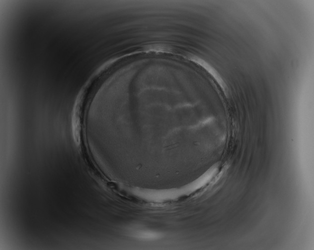 X0000087541115200705181043