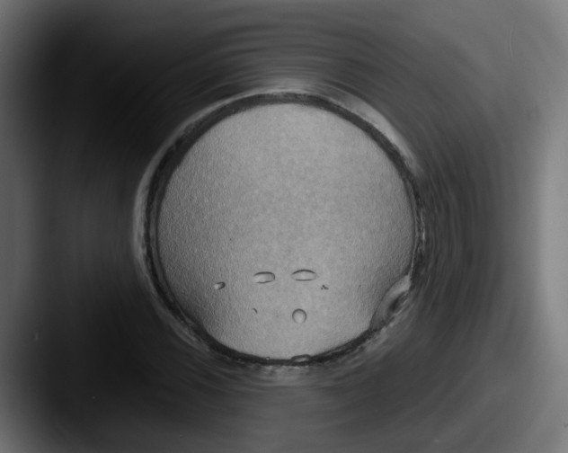 X0000087541116200705181043