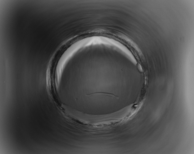 X0000087541117200705181043