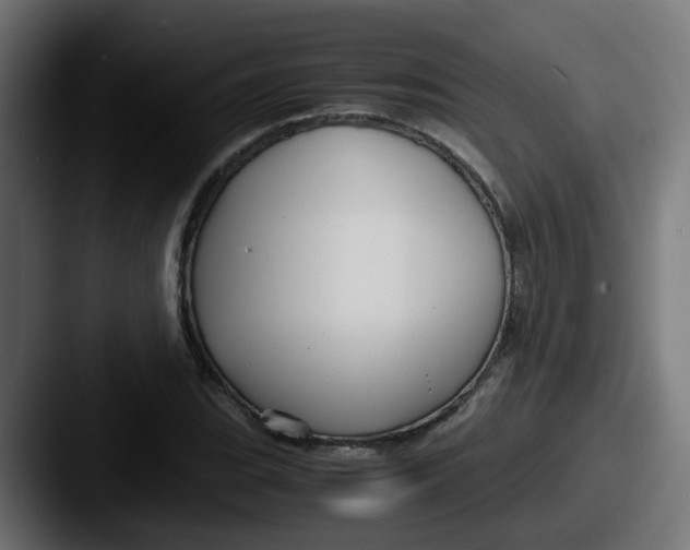 X0000087541119200705181043