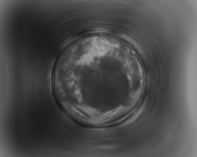 X0000087541121200705181043