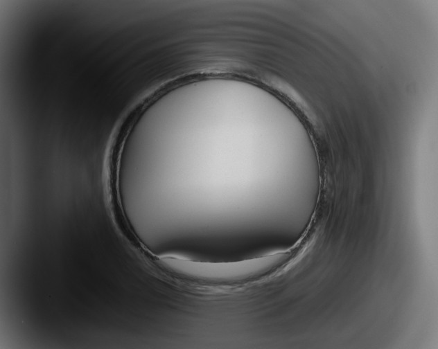 X0000087541122200705181043