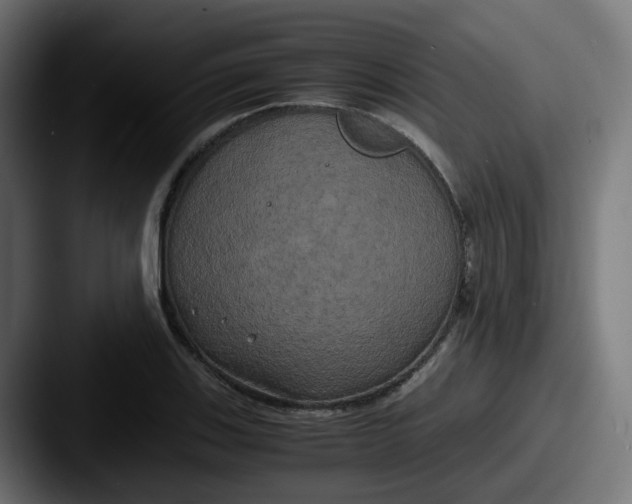 X0000087541123200705181043