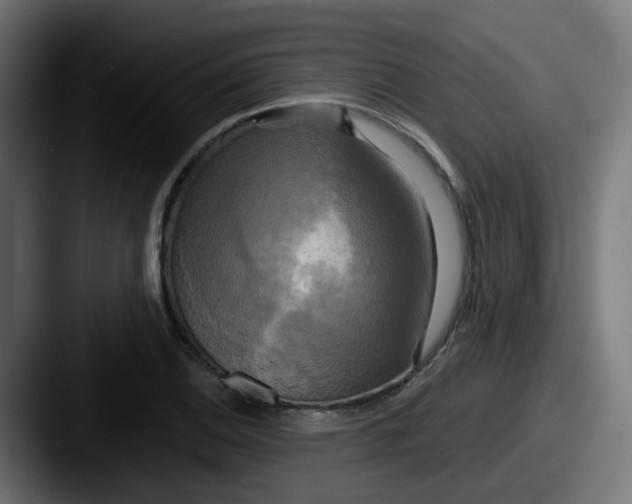 X0000087541124200705181043