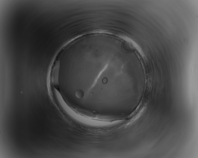 X0000087541125200705181043