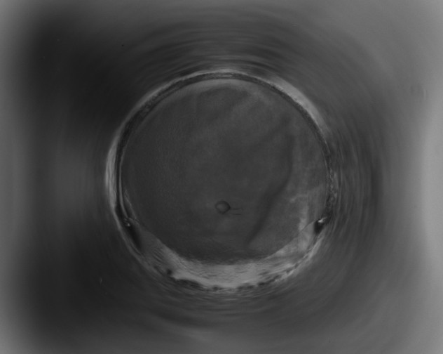 X0000087541127200705181043