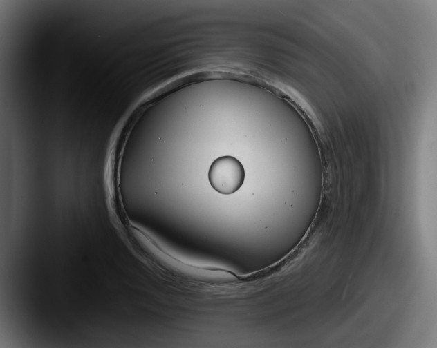 X0000087541128200705181043