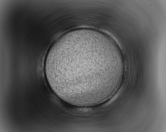 X0000087541129200705181043