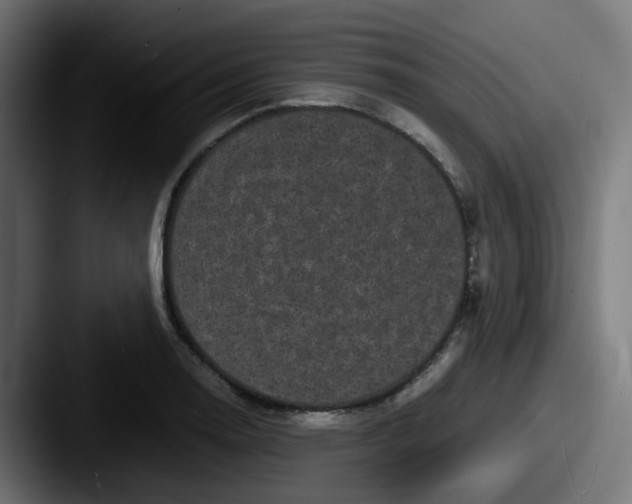 X0000087541130200705181043