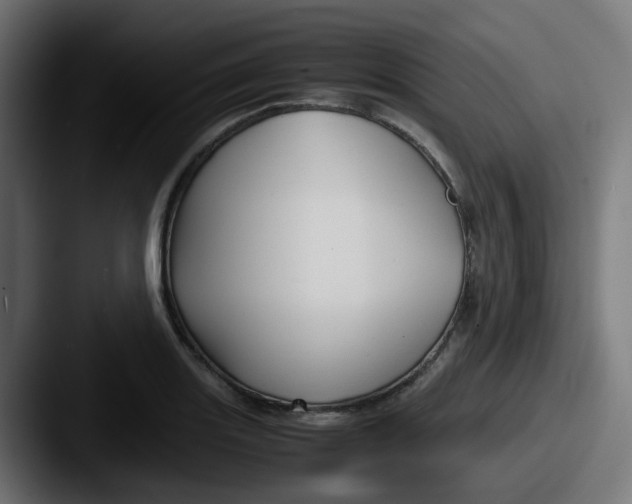 X0000087541131200705181043