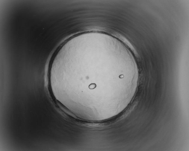 X0000087541132200705181044