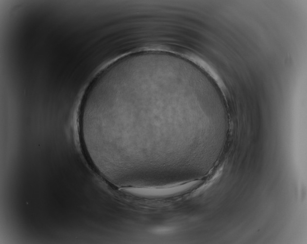 X0000087541133200705181044