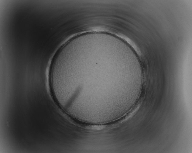 X0000087541134200705181044